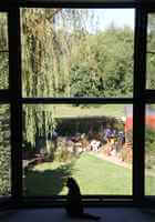 Interior view of a Juliet Balcony looking out at garden with a black cat