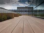 Coventry Uni Enhanced Grain Golden Oak Composite Decking