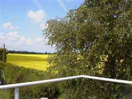 Gorgeous view of meadows from a white balcony