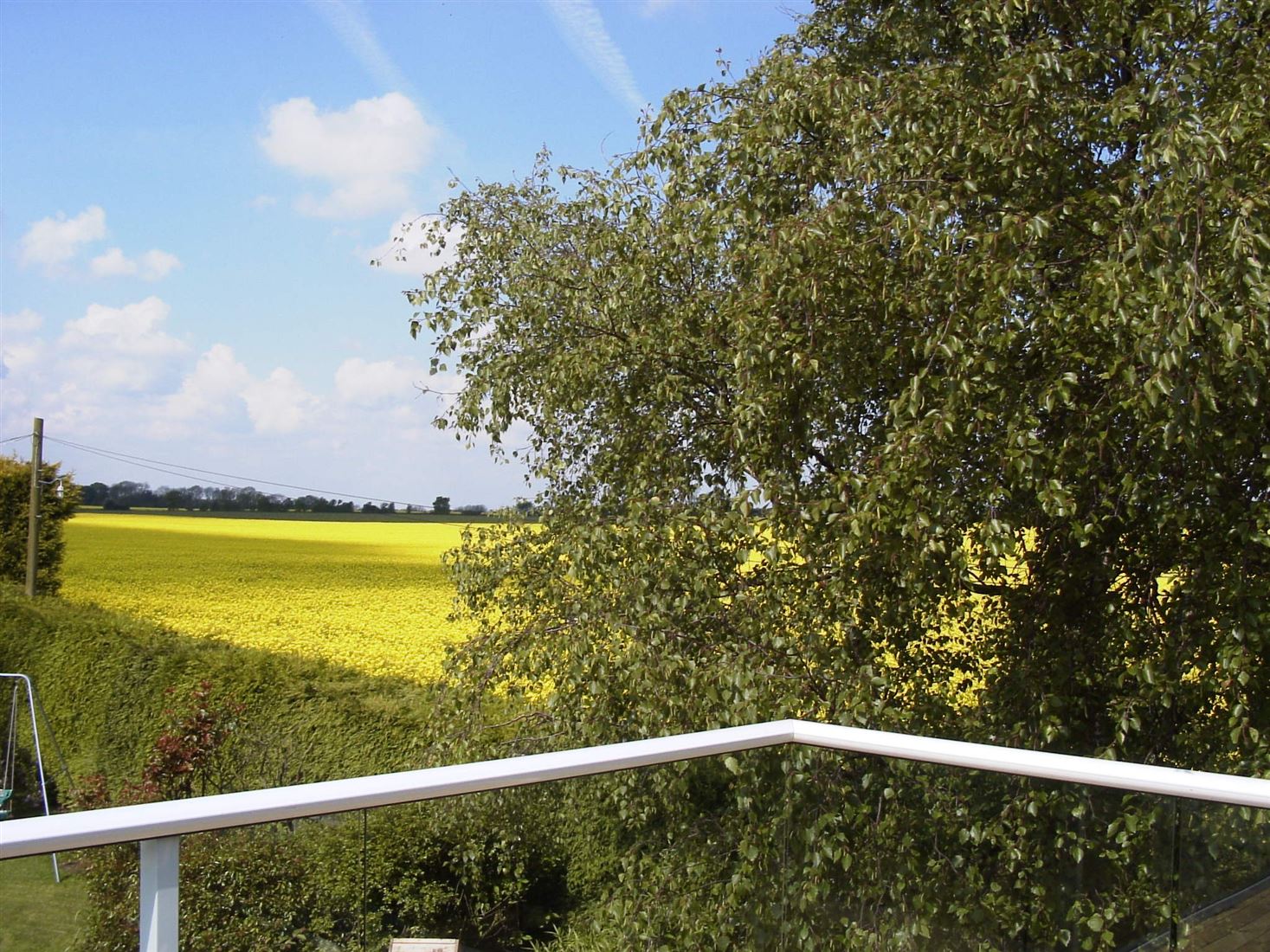 White Aerofoil Glass Balustrade overlooking a gorgeous meadow