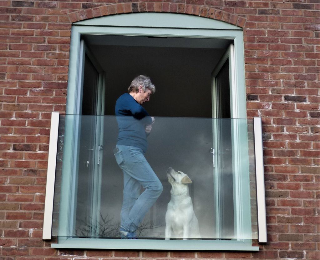 Juliet Balcony in Shropshire, Frameless Juliet balcony